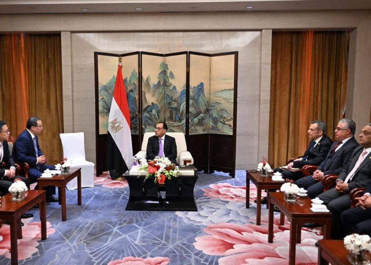 PM, United Energy head discuss boosting investments 1 - Egyptian Gazette