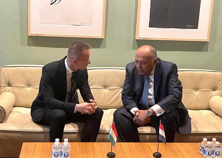 Shoukry probes with Hungarian counterpart in New York efforts to end violence, escalation in Gaza 1 - Egyptian Gazette