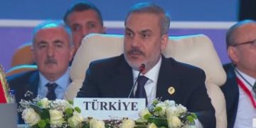 Turkey calls for new guarantee mechanism in Israel-Palestine conflict