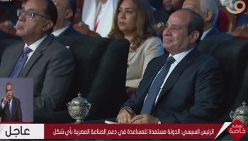 Sisi opens technical education schools via video conference