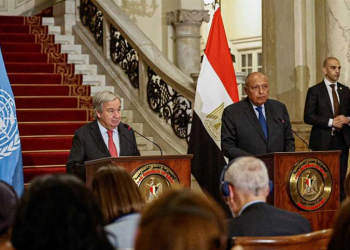 FM says Cairo Peace Summit aims at reaching int’l consensus on Palestinian-Israeli de-escalation, ceasefire