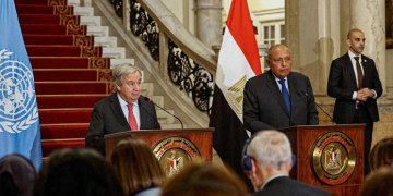 FM says Cairo Peace Summit aims at reaching int’l consensus on Palestinian-Israeli de-escalation, ceasefire