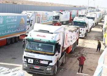 2nd batch of aid convoys enters Gaza via Rafah Crossing