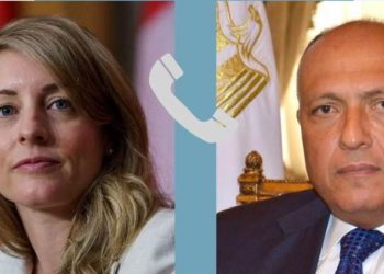 FMs of Egypt, 3 countries mull efforts to stop escalation between Palestinians, Israelis