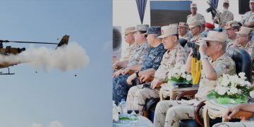 Defense min. attends main phase of live-fire project in Central Military Zone