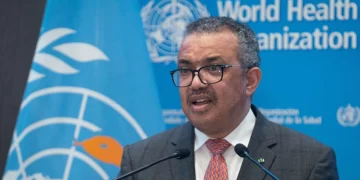 WHO stresses need for more assistance to Gaza 1 - Egyptian Gazette WHO stresses need for more assistance to Gaza