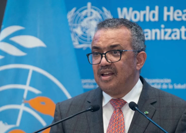 WHO stresses need for more assistance to Gaza 1 - Egyptian Gazette