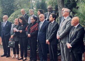 Radi: Cairo Summit is historic opportunity to revive peace process