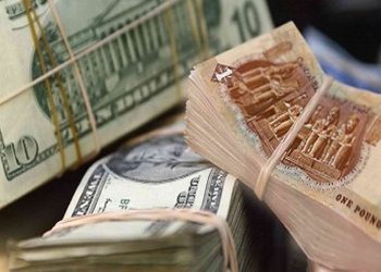 Dollar exchange rate stable at start of Sunday's transactions 5 - Egyptian Gazette