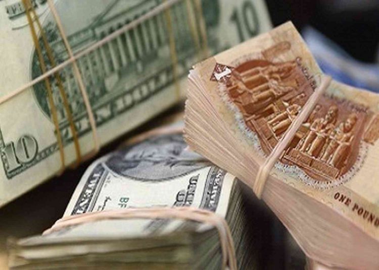Dollar price stable at major Egyptian banks 1 - Egyptian Gazette