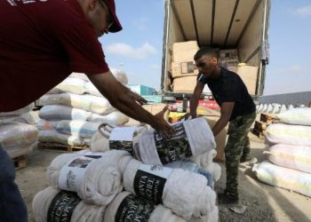 Pope Francis appeals for release of hostages, entry of humanitarian aid into Gaza