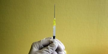 France kicks off bird flu vaccination despite trade backlash risk
