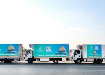 NACDW, Haya Karima ready relief, humanitarian aid to Palestinians