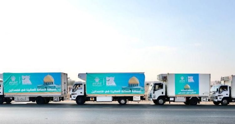 NACDW, Haya Karima ready relief, humanitarian aid to Palestinians 1 - Egyptian Gazette