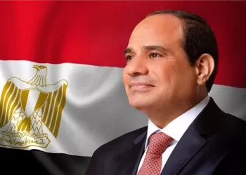 Coalition of Egyptian parties laud Sisi stance against terminating Palestinian cause