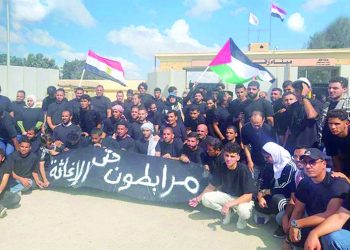 NPA, Decent Life, political parties support President Sisi’s decisions on Palestinian cause