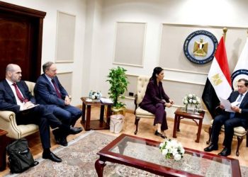 EU official: Egypt key partner in energy, climate action domains