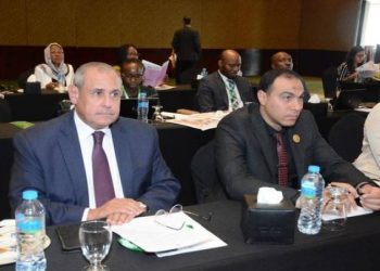 Emigration Ministry ready for launching ‘Egypt Can With Trade And Industry With Africa’ conf.