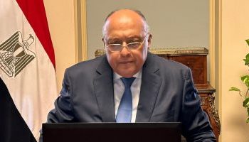 Shoukri calls for immediate truce in Gaza