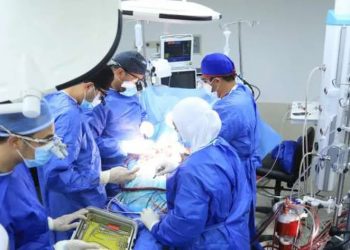 GAH: 8m health services offered in Ismailia since Feb 2021