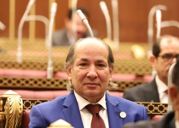 Wafd: European Parl’t statement exceeds legal limits, violates human rights principles