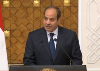 Sisi: Egypt rejects relocation of Gazans, condemns targeting civilians 6 - Egyptian Gazette