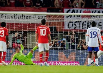 Austria seals Euro 2024 place