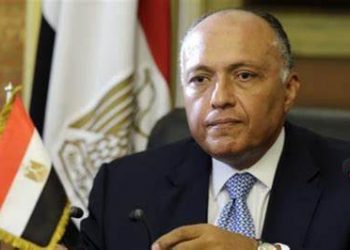Shoukry asserts importance of halting Israeli military escalation in Gaza