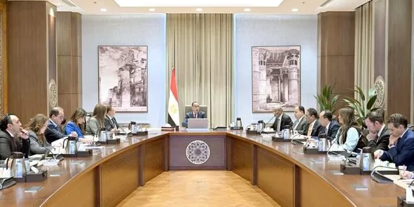 PM follows up on provision of commodities, production materials 2 - Egyptian Gazette PM follows up on provision of commodities, production materials 1 - Egyptian Gazette