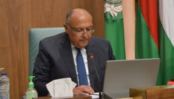 Shoukry calls for immediate halt to Israeli military operations in Gaza