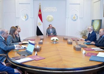 Sisi probes prospects of boosting ties with Italy’s Danieli