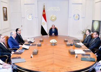 Sisi: Protecting farmlands against illegal encroachments saves assets of state, people