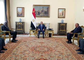 Sisi expresses keenness on continued co-operation with AU commission