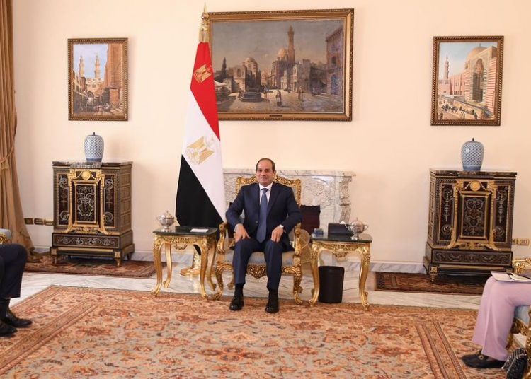 Sisi reviews means of co-operation between Egypt, OECD 1 - Egyptian Gazette