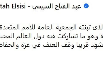 Sisi welcomes UNGA resolution calling for humanitarian truce in Gaza