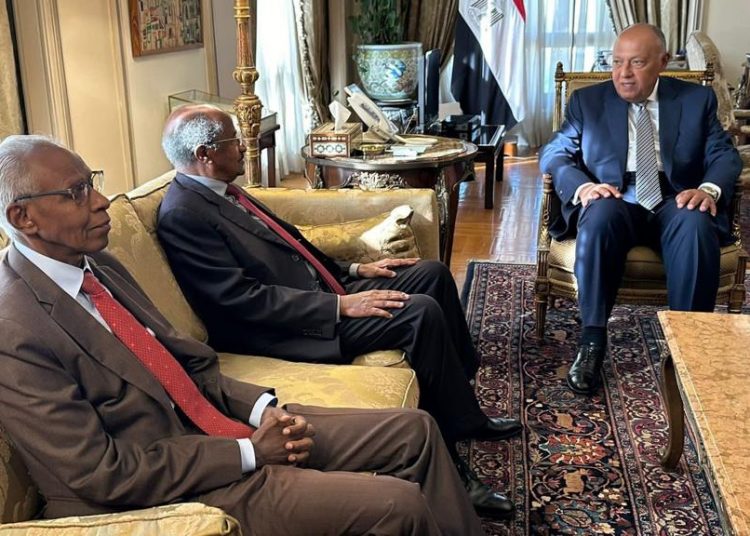 Shoukry holds talks with Eritrean FM, presidential adviser 1 - Egyptian Gazette