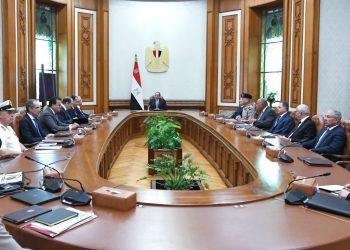 Sisi chairs National Security Council meeting