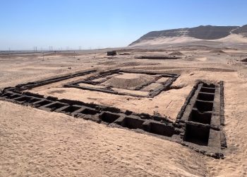 Wine jars discovered at Abydos