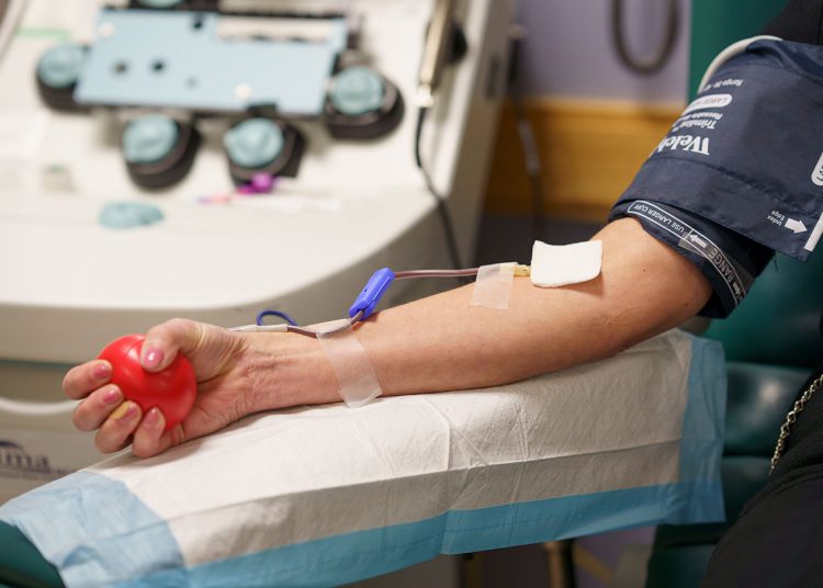 NACDW urges Egyptians to take part in Palestine's blood donation campaign 1 - Egyptian Gazette