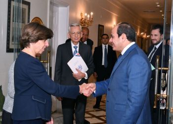 Sisi presses int’l community to shoulder responsibility of providing urgent aid to Gaza residents