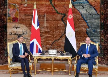 Sisi calls for sending medical, humanitarian aid to Gaza Strip