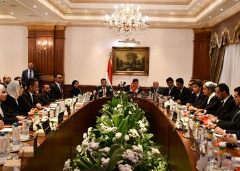 Egyptian Youth parliament supports President Sisi’s decisions on Palestinian cause