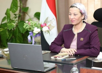 Environment min.: Egypt seeks Chinese investments in energy domains