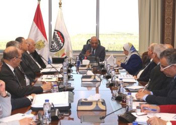 ‘Companies face real test to fulfill local market requirements’ 2 - Egyptian Gazette ‘Companies face real test to fulfill local market requirements’