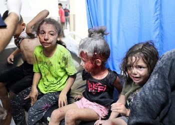 Egypt urges immediate, safe delivery of humanitarian aid to Gaza Strip