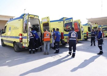 ‘Number injured Palestinians arrived to receive treatment in Egypt’