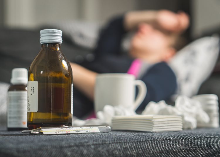 Gov't denies reports of bird flu outbreak in some governorates 1 - Egyptian Gazette