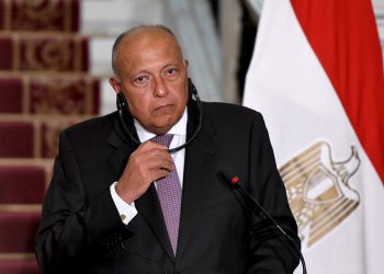 Shoukry to attend Paris Conf. on Gaza humanitarian conditions