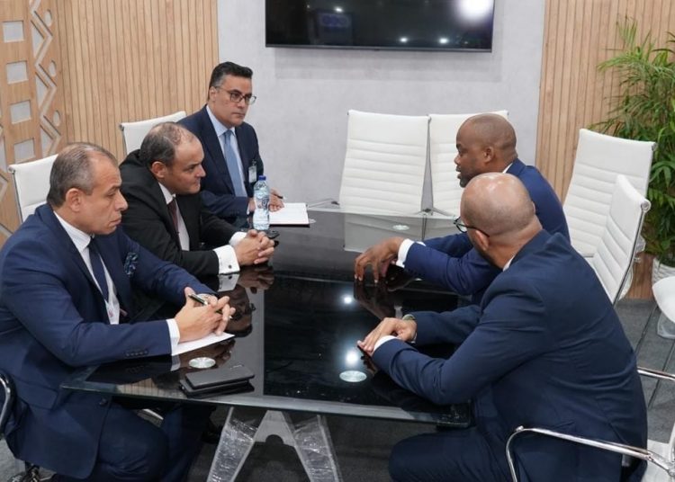 Trade min. reviews economic co-operation with Kenya, Rwanda, Ivory Coast 1 - Egyptian Gazette