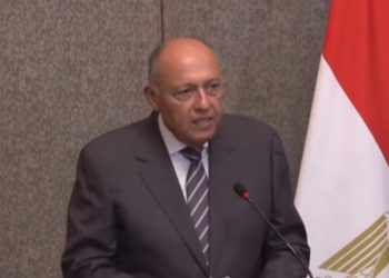 Shoukry: Rafah crossing open; provision of humanitarian aid continues